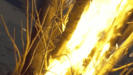 俄罗斯专享会294(中国游)官方网站